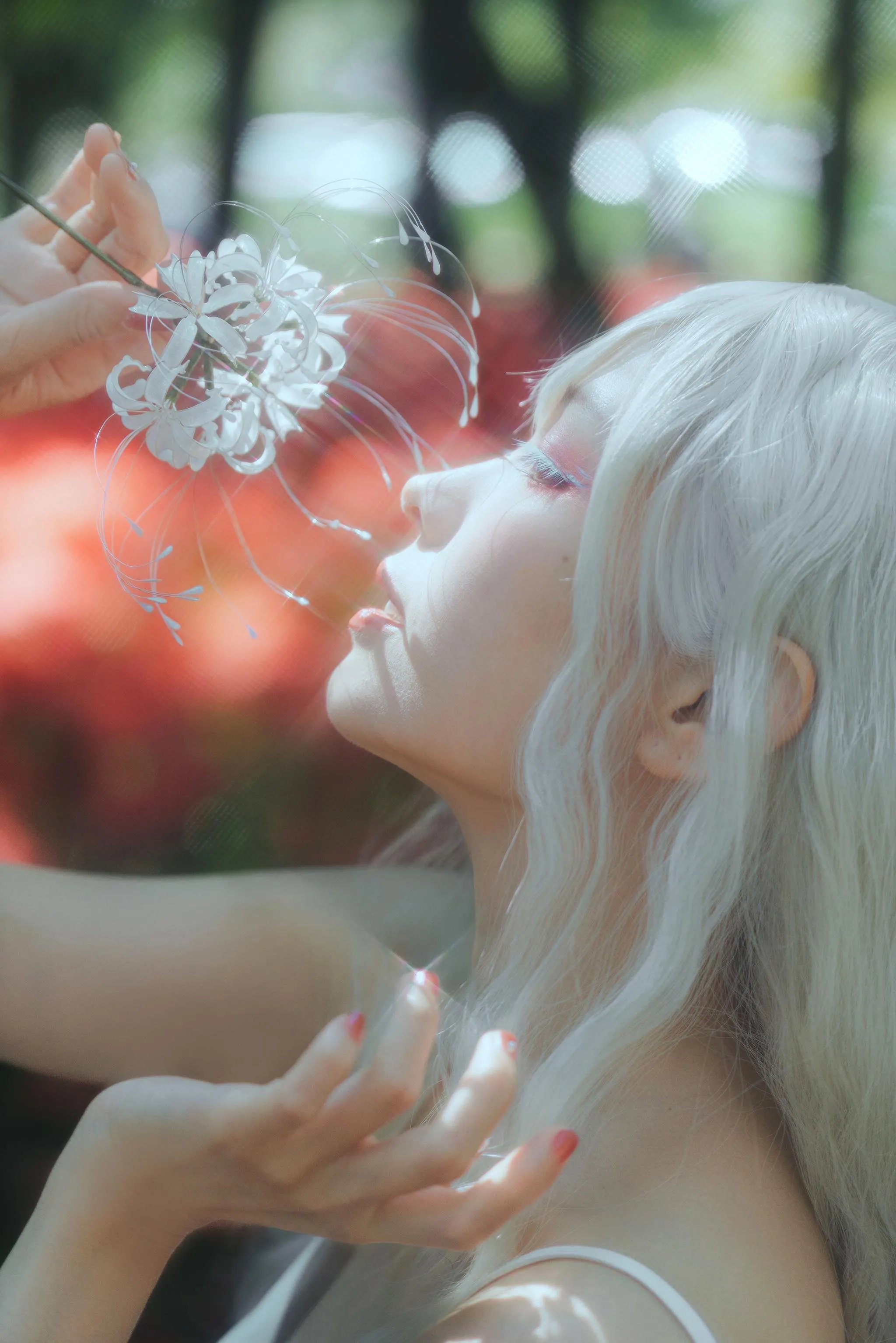 ElyEE子 – NO.129 23年10月订阅-B-White spider lily 白瓷彼岸 [27P]插图2